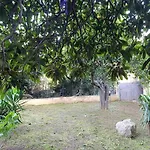Holiday home Maison Atypique Avec Jardin Calenzana