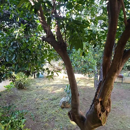 Maison Atypique Avec Jardin