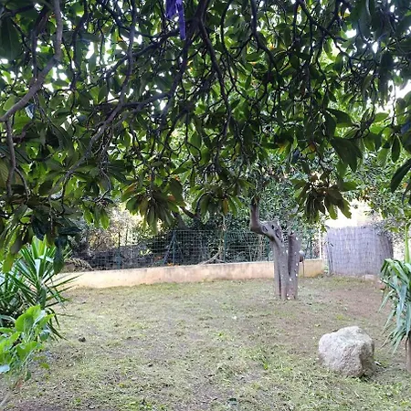 Holiday home Maison Atypique Avec Jardin Calenzana